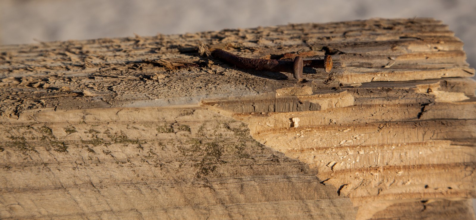 art-of-sandy-mo-long beach-23.jpg